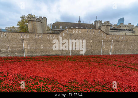 London, Regno Unito - 16 Novembre 2014: quasi 900.000 papaveri in ceramica sono installati presso la Torre di Londra per commemorare Br Foto Stock