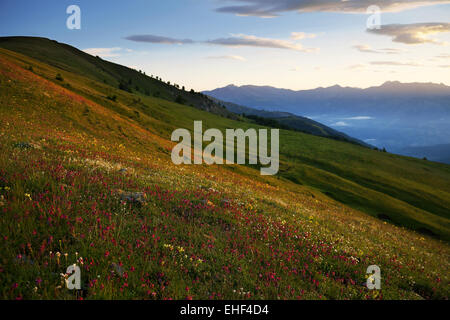 Il Parc national du Mercantour, alpi, Francia Foto Stock