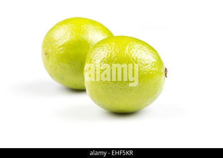 Citrus limetta frutto isolato su sfondo bianco Foto Stock