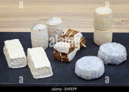 Array di Cheese a Mons Cheesemongers Londra Foto Stock