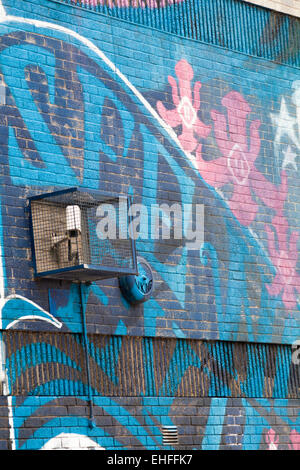 Street Art Graffiti sul lato dell'edificio con telecamera TVCC in gabbia e Viking allarme a Bristol Foto Stock