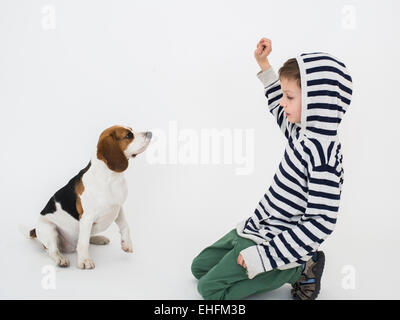 Ragazzo formazione obbedienza al suo cane beagle Foto Stock