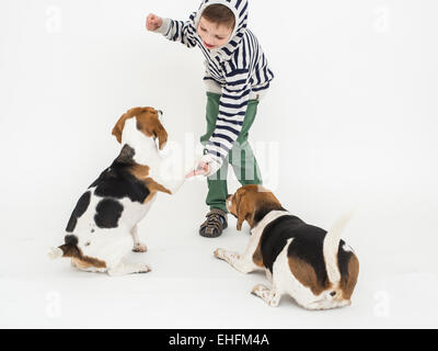 Ragazzo formazione obbedienza per cani beagle Foto Stock