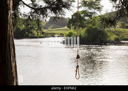 Swing corda appesa sopra il lago in Mc Laren falls park in Tauranga, Nuova Zelanda. Foto Stock