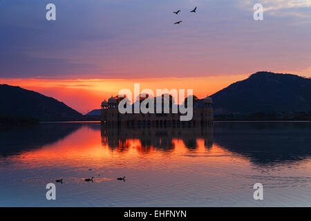 Sunrise vibranti e floccato di uccelli in Jai Mahal, India. Foto Stock