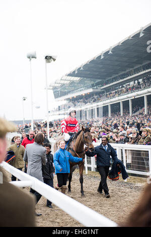 Cheltenham, Regno Unito. 13 Mar, 2015. Nico de Boinville Coneygree equitazione dopo aver vinto il Cheltenham Gold Cup venerdì 13 maggio 2015 a Cheltenham Racecourse, UK. Credito: Daniel Fisher/Alamy Live News Foto Stock