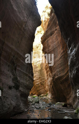 Avagas Gorge in Cipro Foto Stock