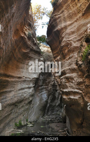 Sentiero Avgas Gorge in Cipro Foto Stock