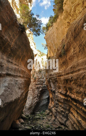 Sentiero Avgas Gorge in Cipro Foto Stock