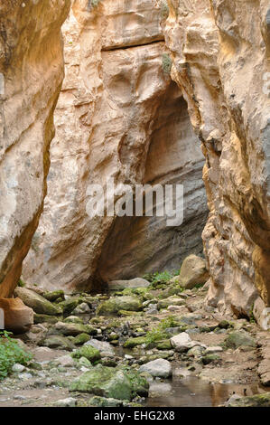 Avagas Gorge in Cipro Foto Stock