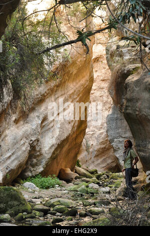 Avagas Gorge in Cipro Foto Stock