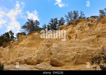 Avagas Gorge in Cipro Foto Stock