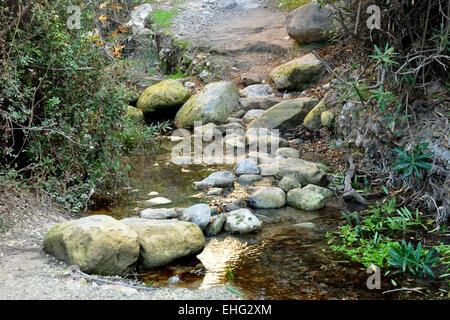 Sentiero Avgas Gorge in Cipro Foto Stock