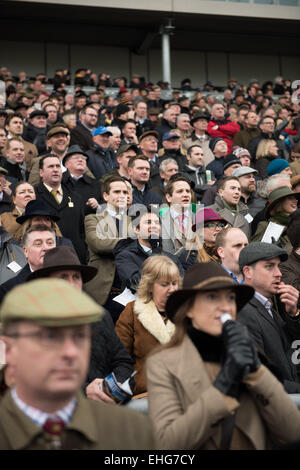 Cheltenham, Regno Unito. 13 Mar, 2015. Il quarto e ultimo giorno di hte Cheltenham Horse Racing Festival 2015 - culminata in Cheltenham Gold Cup - Venerdì 13 Marzo 2015 Credit: Daniel Fisher/Alamy Live News Foto Stock