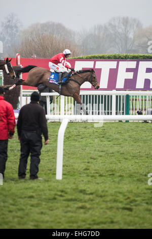 Cheltenham, Regno Unito. 13 Mar, 2015. Vincitore del Cheltenham Gold Cup, Coneygree, cavalcato da Nico de Boinville durante il Cheltenham Gold Cup - Venerdì 13 Marzo 2015 Credit: Daniel Fisher/Alamy Live News Foto Stock