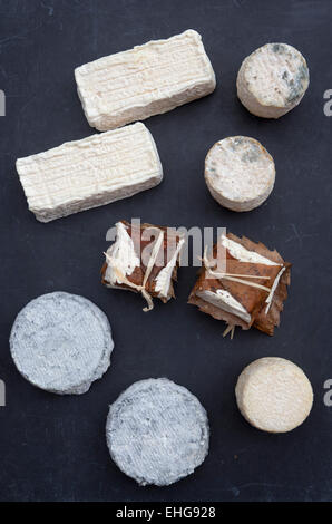 Mons Cheesemongers Borough Market di Londra Foto Stock