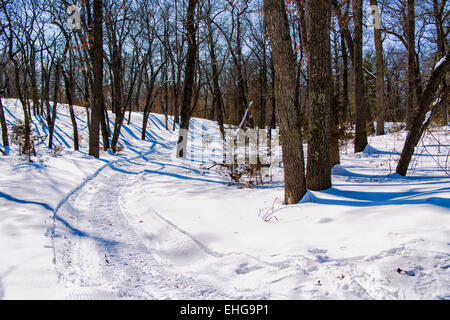 Motoslitta via nel bosco di latifoglie. Foto Stock