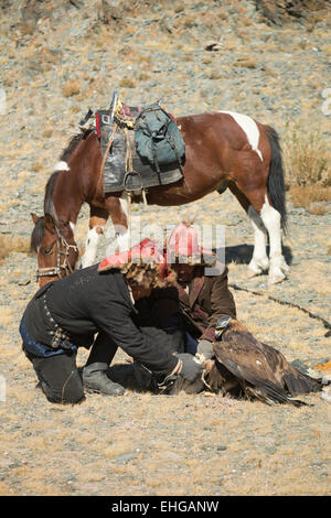 Golden Eagle festival Mongolia la tradizione di uccelli selvatici Foto Stock