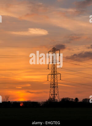 Pilone al tramonto Foto Stock