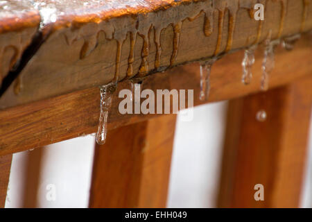 Piccoli ghiaccioli di fusione di sgocciolamento un ponte di legno della ringhiera in un disgelo invernale Foto Stock