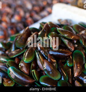 Ostriche, cozze e capesante sul mercato asiatico Foto Stock