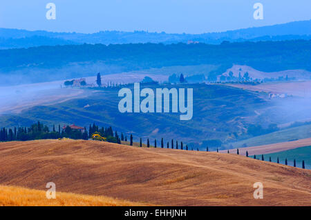 Val d'Orcia. Val d' Orcia all'alba. Nebbia di mattina. UNESCO - Sito Patrimonio dell'umanità. San Quirico d'Orcia. In provincia di Siena. Toscana.toscana Foto Stock