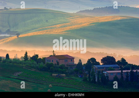 Val d'Orcia. Val d' Orcia all'alba. Nebbia di mattina. UNESCO - Sito Patrimonio dell'umanità. San Quirico d'Orcia. In provincia di Siena. Toscana. Foto Stock