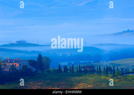 Val d'Orcia. Val d' Orcia all'alba. Nebbia di mattina. UNESCO - Sito Patrimonio dell'umanità. San Quirico d'Orcia. In provincia di Siena. Toscana. Foto Stock