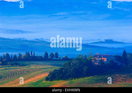 Val d'Orcia. Val d' Orcia all'alba. Nebbia di mattina. UNESCO - Sito Patrimonio dell'umanità. San Quirico d'Orcia. In provincia di Siena. Toscana. Foto Stock