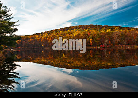 La riflessione,lago nawahunta new jersey Foto Stock