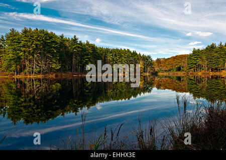 La riflessione,lago nawahunta new jersey Foto Stock