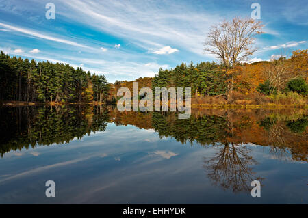La riflessione,lago nawahunta new jersey nel paesaggio autunnale Foto Stock