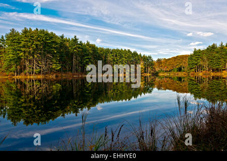 La riflessione,lago nawahunta new jersey nel paesaggio autunnale Foto Stock