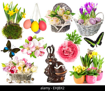 Set di fiori in primavera, le uova di pasqua, butterfly, coniglio, bunny. decorazioni di pasqua isolato su sfondo bianco Foto Stock