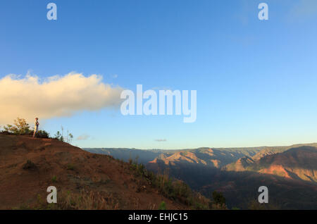 Uomo che guarda oltre il Canyon di Waimea, Isola di Kauai, Hawaii Foto Stock