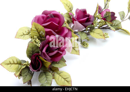 Filiale di rosa Foto Stock