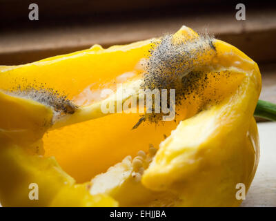 Macro peperone giallo con funghi Foto Stock