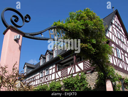 Arco in corrispondenza di un vigneto in Eltville, Reno, Germania Foto Stock