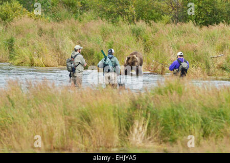 I pescatori costieri e l'orso bruno in Katmai National Park, Alaska Foto Stock