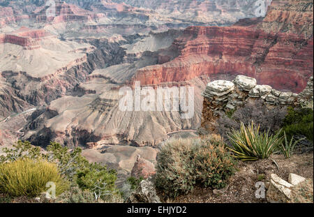 Canyon Rim punto di vista Foto Stock