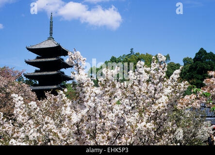 La città di Kyoto è una riserva unica per gli antichi giardini Zen e santuari che sono oltre nove cento anni. Foto Stock