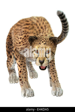 3D render digitale di un gatto grande cheetah isolati su sfondo bianco Foto Stock