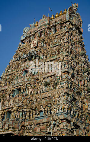 Progettazione architettonica di Kapaleeshwarar tempio a Mylapore,Chennai,Tamilnadu,l'India,Asia Foto Stock