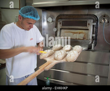 Baker preparare focacce di pane sulla paletta prima di mettere in forno Foto Stock