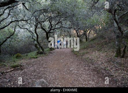 Persone, passeggiate, Hiking trail, Arroyo de San Jose, cascata, spazio aperto distretto, Novato, Marin County, California Foto Stock