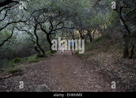Donna, cane, Hiking trail, Arroyo de San Jose cascata, Arroyo de San Jose, Novato, Marin County, California Foto Stock