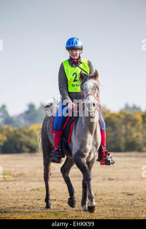 Una giovane donna è cavalcare il suo cavallo nella New Forest National Park. Sta indossando un casco blu e hi vis vest Foto Stock