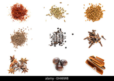 Set di spezie differenti. Isolato su sfondo bianco Foto Stock