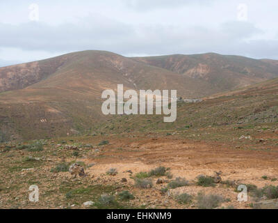 Vista panoramica delle colline di Fuerteventura Isole Canarie arido e secco con appena abbastanza impianti per le molte capre Foto Stock