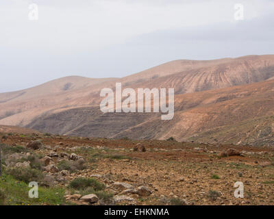 Vista panoramica delle colline di Fuerteventura Isole Canarie arido e secco con appena abbastanza impianti per le molte capre Foto Stock